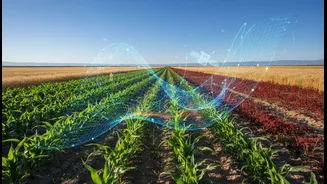 NISAR’s Space Data Could Help India Understand Crops, Coasts And Hazards Better