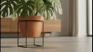 Plant Parents Should Use Pot Stands To Keep Rainwater Moving Out