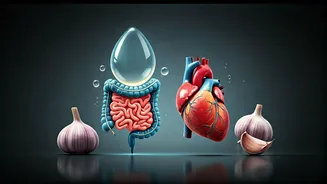 Related Stories banner