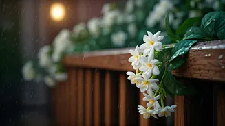 Indian Homes Need Jasmine For Rainy Evenings