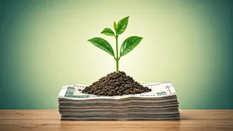 What's New For Your Money This July