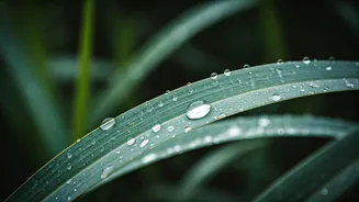These Everyday Monsoon Habits Can Trigger Breakouts