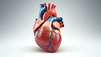 Longevity Secrets: Science-Backed Ways to Live Longer