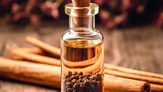 How to Read Botanical Names on Cinnamon Packaging Correctly