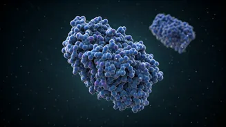 Related Stories banner