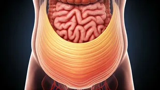 Related Stories banner