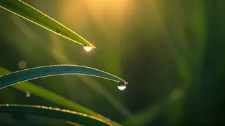 Embrace the Dawn: 5 Morning Affirmations to Reshape Your Day