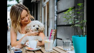 How Everyday Feeding Habits Can Strengthen Your Bond With Your Pet, According To Experts
