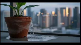 Rainwater Overflow Can Damage Balcony Gardens Unless You Improve Drainage First
