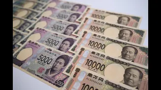Bank of Japan hints at further hikes in interest rates, say real rate 'lowest globally'