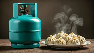 LPG Cylinder for 50 Plates of Momos: Indian Restaurant's Viral Barter Offer