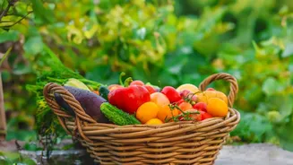 How To Keep Your Balcony Herb Garden Thriving In Rainy Weather