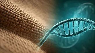 Related Stories banner