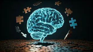 Unscramble Your Mind: A World of Puzzles and Quizzes Await!