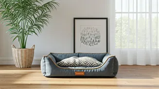 Pet-Friendly Interiors Are On The Rise