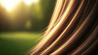 Boost Your Hair Density Naturally: 5 Proven Everyday Methods for Fuller Locks