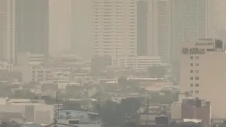 How Pollution And Humidity Together Can Stress Your Skin