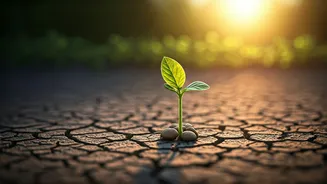 Related Stories banner