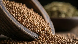 Unclog Your Nose with Coriander Seeds: A Viral Hack Explained by Experts