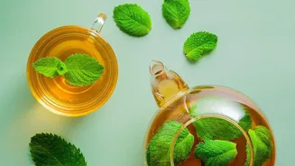 Fresh Tulsi Leaves Bring A Distinctive Herbal Edge To Cold-Brewed Single-Estate Loose Teas