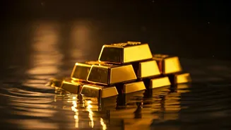 Decoding 2026: Market Trends & Investment Strategies