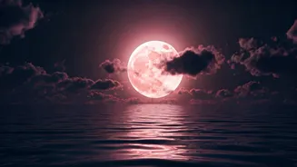 7 Signs the Universe is Signaling a Major Life Transformation During the Pink Full Moon