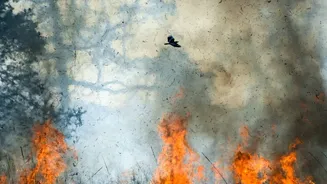 Hutchinson Fire: Reno County Fire North Of Hutchinson Prompts Evacuations, Firefighters Responding