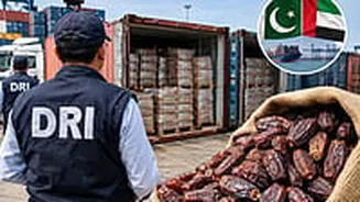 DRI seizes 362 tonnes of Pakistani dry dates