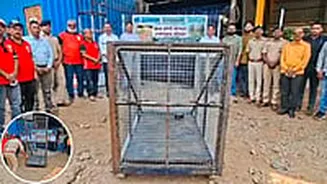 Navi Mumbai News: Forest Department Inducts Advanced Animal Trap In Khalapur To Tackle Human-Wildlife Conflict With NGO Support | VIDEO