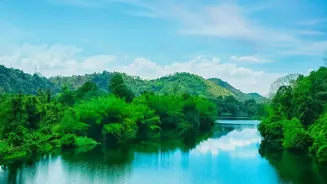 Coorg Coffee Estate Stays Become Top Pick For Off Season Travellers Seeking Quiet Green Getaways