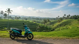 Exploring Bali On A Shoestring Budget Using Local Warung Dining And Scooters