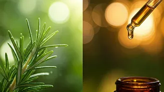 Summer Hair Growth Secrets: Rosemary vs. Castor Oil - Which Reigns Supreme?