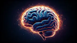 10 Simple Habits to Unlock Your Emotional Intelligence Superpower