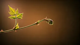 5 Subtle Signs Your Crush is Secretly Falling For You