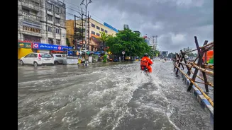 Embracing the Monsoon: A Time to Slow Down and Reflect