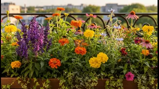 Urban Homes Are Going Greener With Pollinator Plants