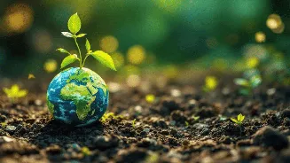 World Environment Day 2026 in schools: Best activities to inspire environmental awareness