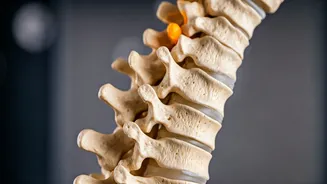 Unlocking Neck Stiffness: Causes & Relief