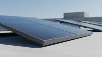 How Bio-Synthetic Melanin Extracted Concepts Shield Solar Panel Surfaces From Daily Wear