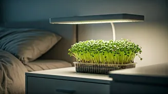 LED Panels Make Bedroom Microgreens Possible Now