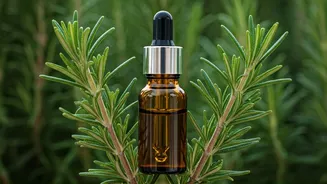 Can Rosemary Oil Really Grow Your Hair?