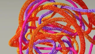 Gut-Brain Axis Wellness Blueprint: Fermentable Fiber And Probiotics Boost Focus Mood