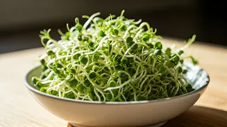 Unlock Digestive Bliss: The Power of Quinoa Sprouts for a Happy Gut