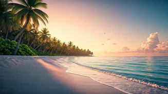 India's Coastal Gems: Unveiling Top Beach Destinations for Every Traveler