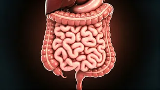 Eating Too Fast? Your Gut Might Notice