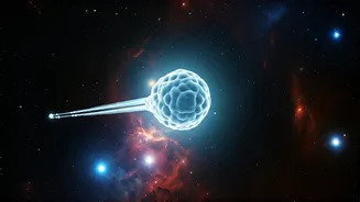 Unveiling the Mysterious Neutrinos: Exploring the Universe