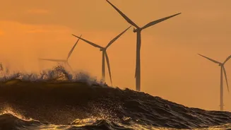 Surya Sarovar Aims to Make Water-Surface Power More Commercially Viable