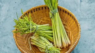 Balcony Herb Gardening During Rains: Easy Tricks For Basil, Mint, Lemongrass