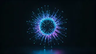 Open-Source Amalia Aims To Serve Businesses And Researchers