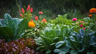 Rainy Season Gardening Starts With Better Plant Choices
